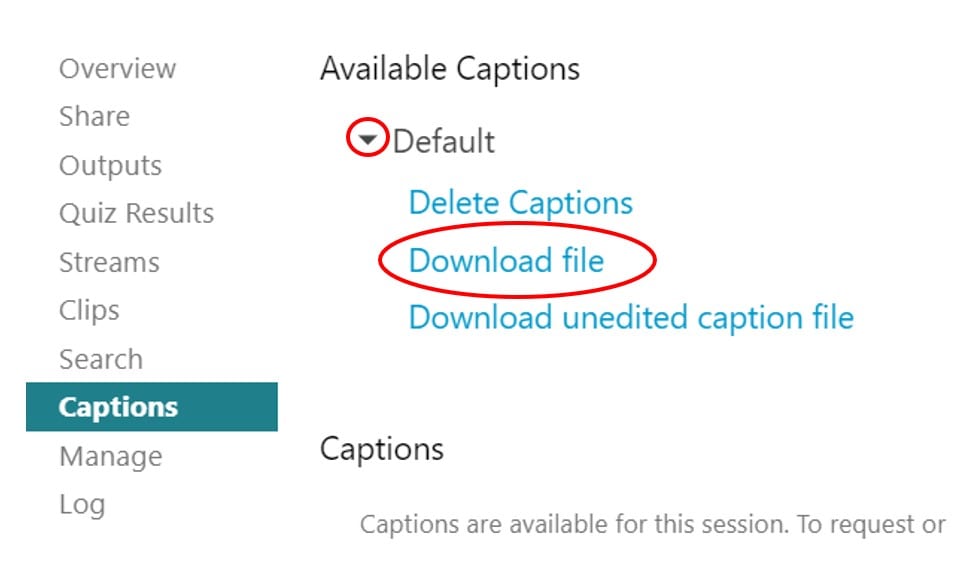 Screenshot of Download File option in Panopto