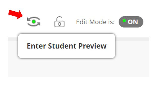 Enter Student Preview icon